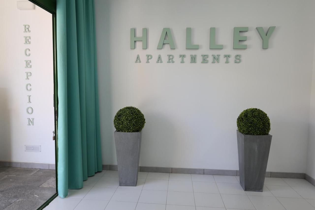 Halley Rooms Mogan Exterior photo